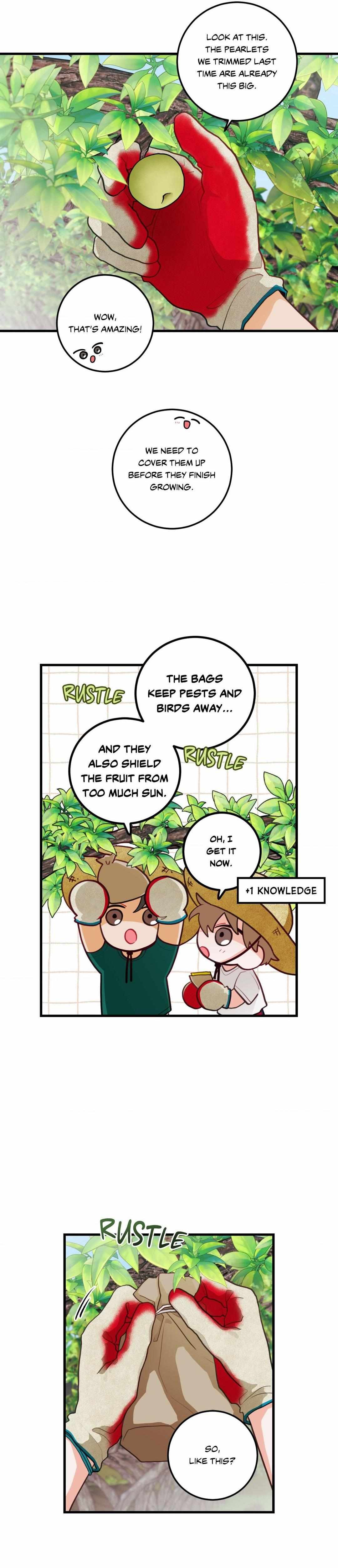 Pear Blosom Love - Chapter 35