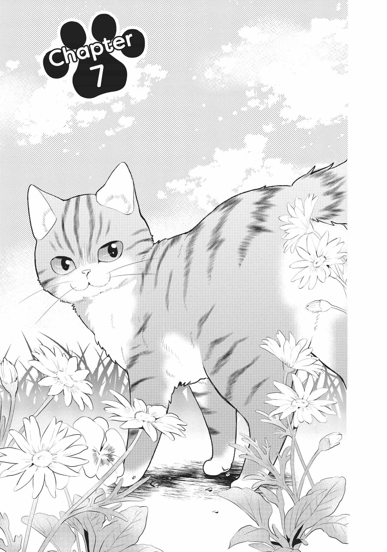 My New Life As A Cat - Chapter 7