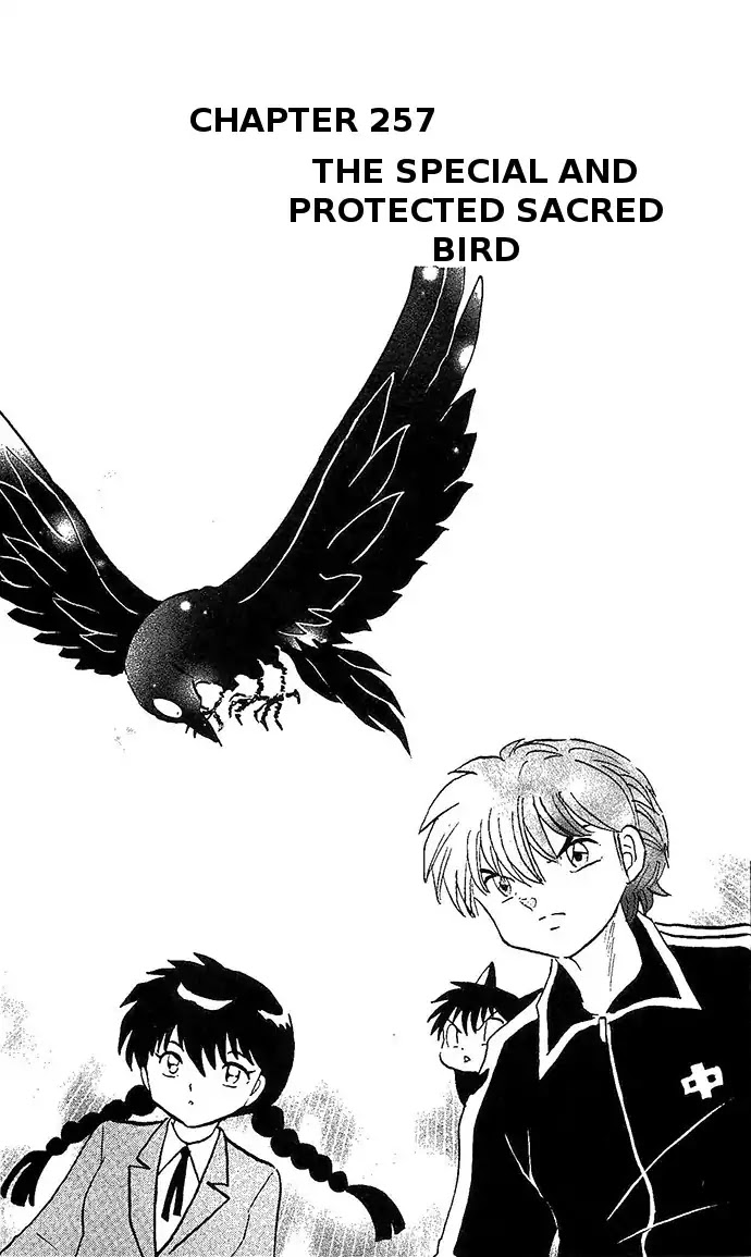 Kyoukai No Rinne - Chapter 257: The Special And Protected Sacred Bird