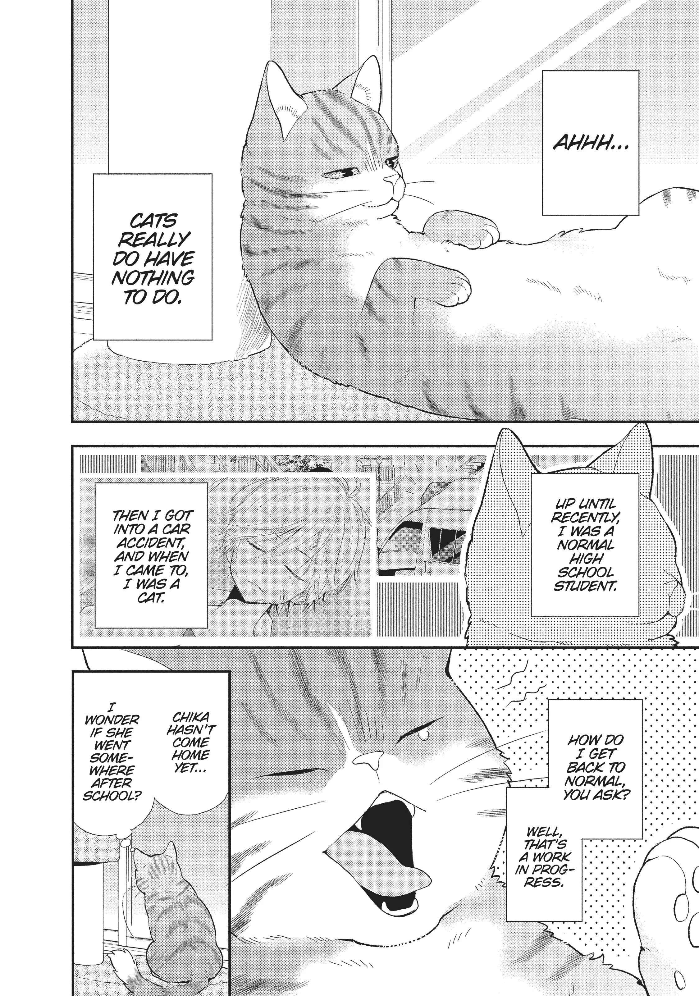 My New Life As A Cat - Chapter 8