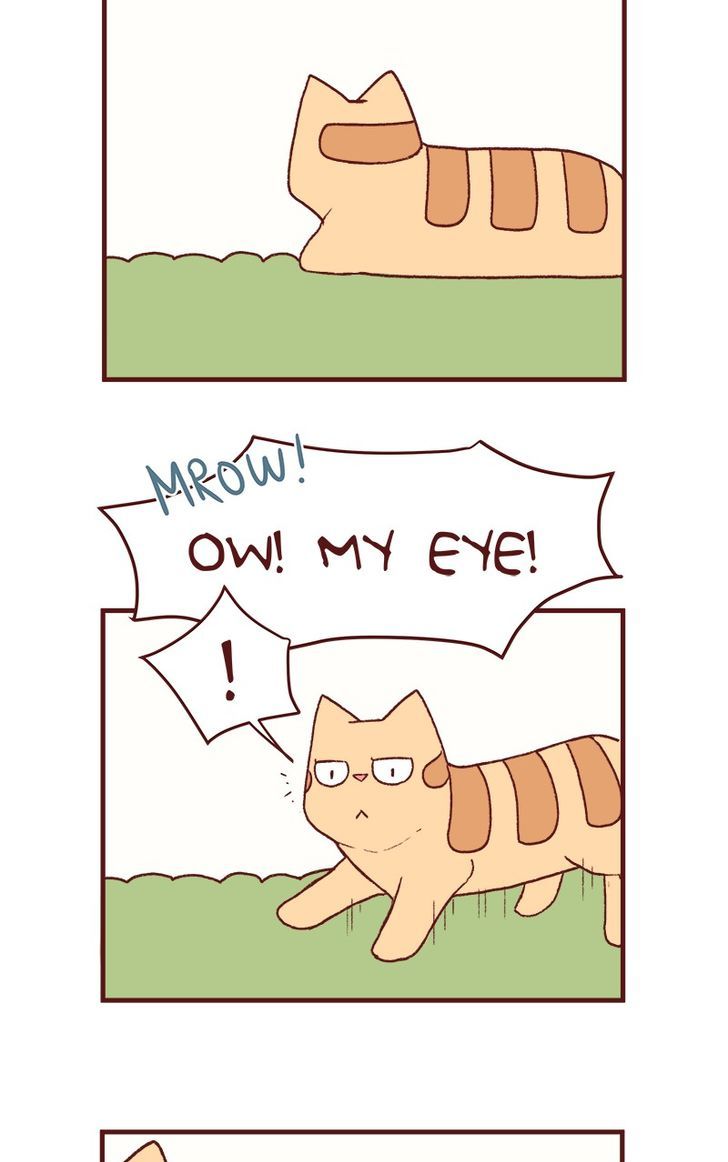 Saphie: The One-Eyed Cat - Chapter 125