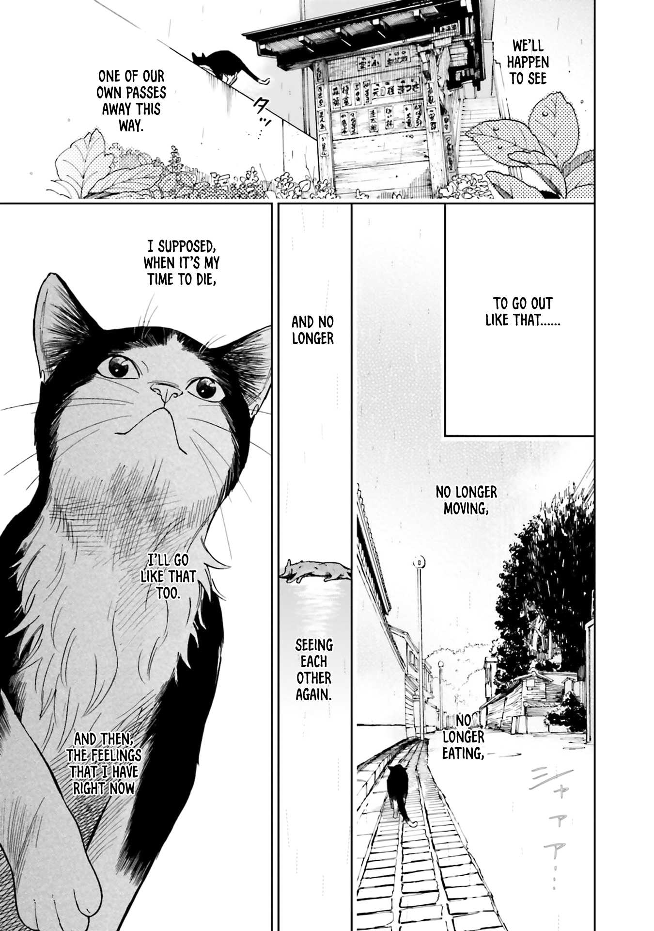 Story Of Fifty Centimeters. - Chapter 3